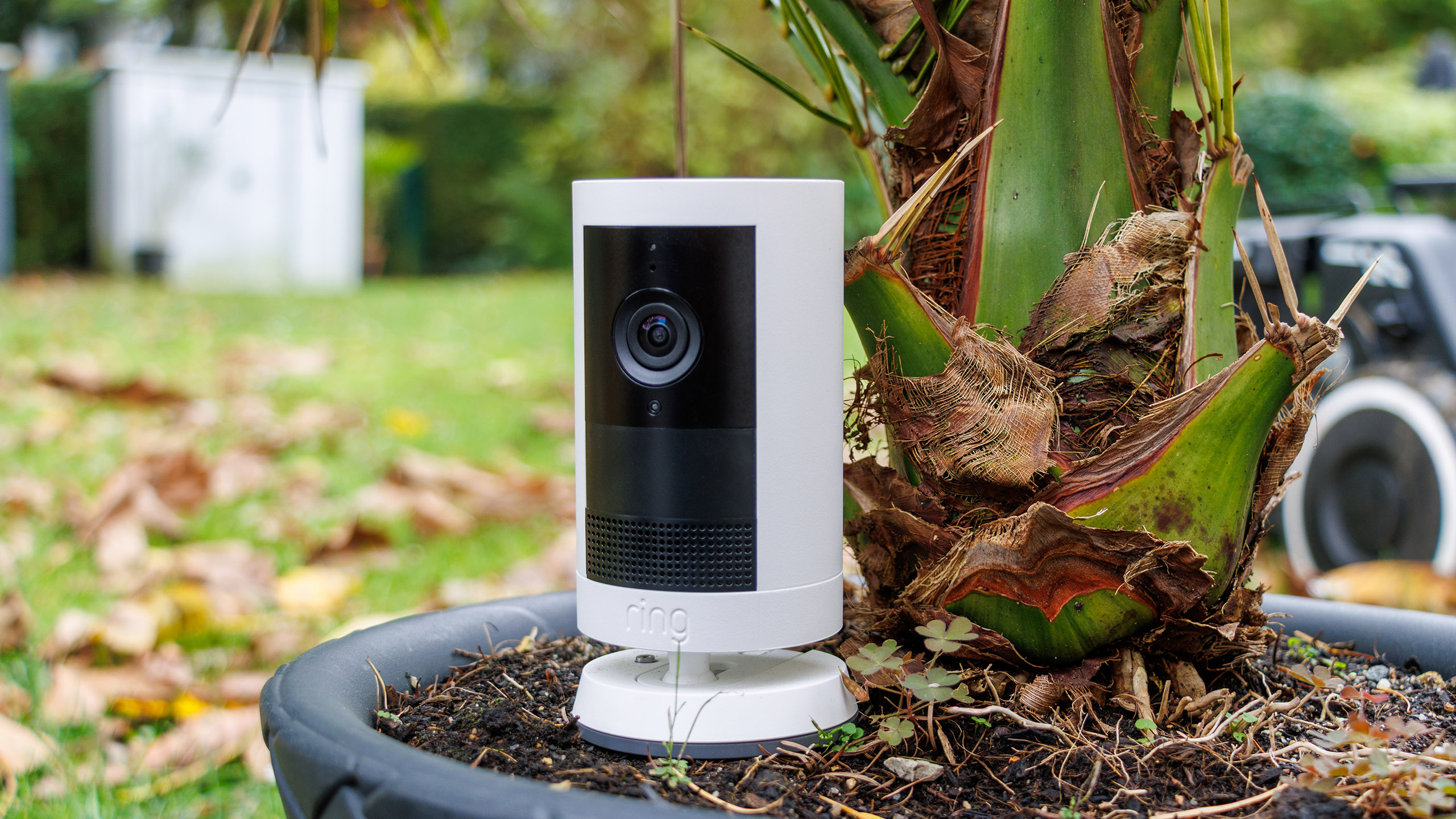 (Kép forrása: Daniel Schmidt)