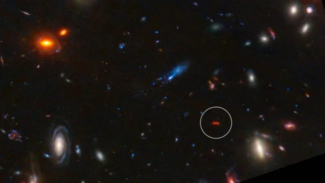 A képen az Y1 galaxis van bekarikázva. (A kép forrása: Diego (Instituto de Física de Cantabria, Spanyolország), J. D'Silva (U. Western Australia), A. Koekemoer (STScI), J. Summers & R. Windhorst (ASU), és H. Yan (U. Missouri))