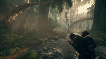 Egy kép, amely egy erdőt mutat az Ancestorsban: Az emberiség Odüsszeiája.