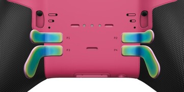 A rózsaszín hátlap és a hátsó lapátok