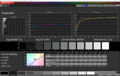 CalMAN szürkeárnyalatos