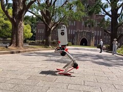 Egy kép a szabadban sétáló Mevitáról (Kép forrása: JSK Tendon Group / Kento Kawaharazuka; kivágott képernyőkép)