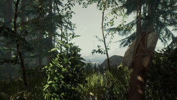 Egy kép, amelyen egy táj és egy csónak látható a The Forest című műben.