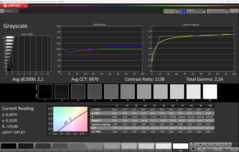 CalMAN szürkeárnyalatos