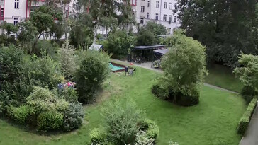 Sáros fák és bokrok részletei - 4x nagyítva