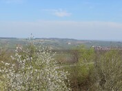 Sony Xperia 1 VI - 3x zoom