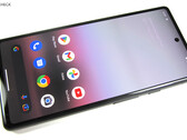 Egyes Google Pixel 6a felhasználók masszív problémák után a legújabb szoftverfrissítés (Kép forrása: Notebookcheck)