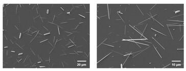Pásztázó elektronmikroszkópos felvételek a retinaimplantátumban lévő tellúr nanodrótokról. (A kép forrása: Science. DOI: 10.1126/science.adu2987)
