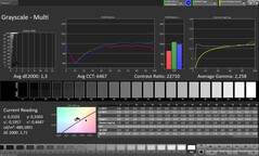 CalMAN szürkeárnyalatos