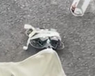 A DJI Neo 2 nyilvános tesztelés alatt áll tavasszal. (Kép forrása: Igor Bogdanov - szerkesztve)