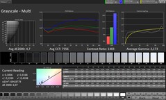 CalMAN szürkeárnyalatos