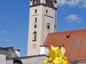 5-szeres nagyítás