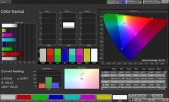 CalMAN színskála sRGB