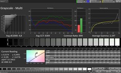 CalMAN szürkeárnyalatos