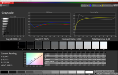 CalMAN szürkeárnyalatos