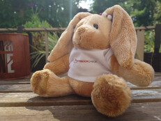 Sony Xperia 1 VII: Mintafotó