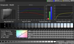 CalMAN szürkeárnyalatos