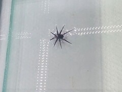 HydroBuckler akcióban (Kép forrása: a kutatók)