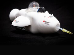 Az elektronikus delfin