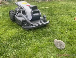 Az Airseekers Tron megbízhatóan érzékelte a teszt során a sünbábut.