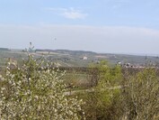 OnePlus 13 - 3x zoom