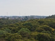 10x zoom