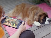 Sok játékos a gyengébb hardver ellenére még mindig a Steam Decket részesíti előnyben.