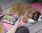 Sok játékos a gyengébb hardver ellenére még mindig a Steam Decket részesíti előnyben.