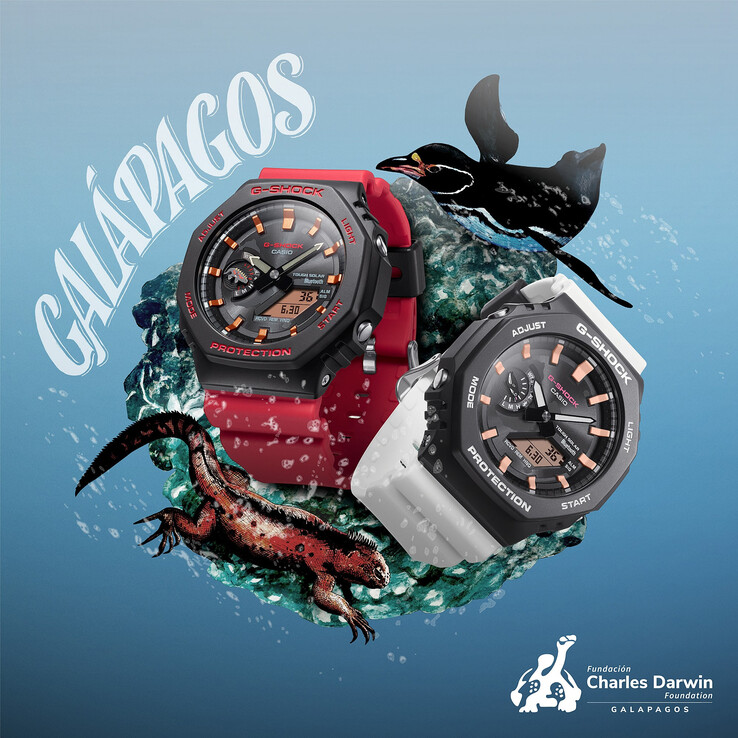 (Kép forrása: Casio)