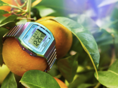 A Timex 80 36 mm-es (a képen látható) rozsdamentes acélból készült, bővülő pántos óra. (Kép forrása: Timex)