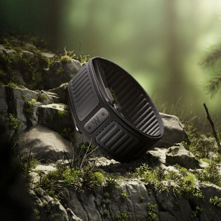 A Whoop Navigator zenekar a Ridgeline-ban