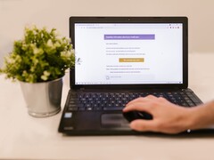 Asztalon álló laptop, amelyen egy megnyitott e-mail beérkező levelek mappa látható, mellette egy cserepes növény.