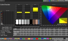 ColorChecker (Profil: Professional, Cél színtér: sRGB)