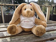 Samsung Galaxy S25 Ultra: Mintafotó