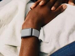 A Whoop nyomkövetője nyilvánvalóan jelentős problémákkal küzd (Kép forrása: Whoop)