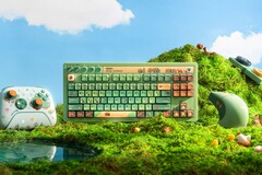 Az 8BitDo új Xbox-termékei a természet ihlette formatervezéssel rendelkeznek.