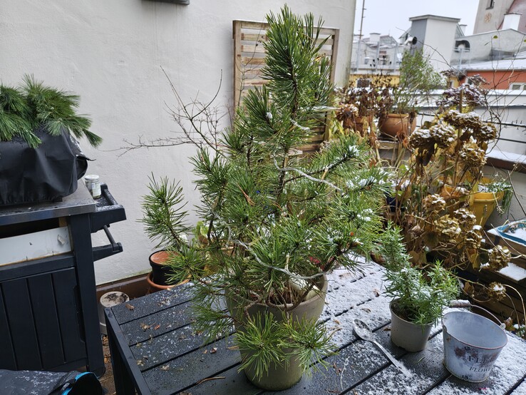 Fénykép a fő kamerával