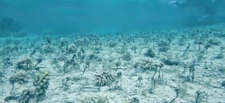 Óceán üzemmód nélkül