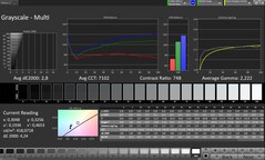 CalMAN szürkeárnyalatos