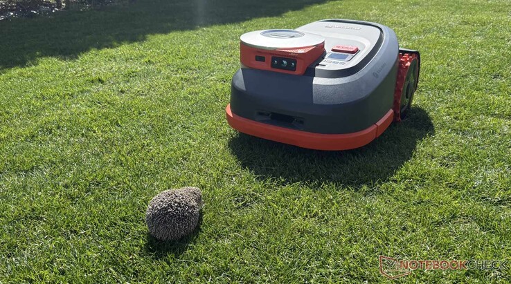 A Navimow H2 a tesztelés során megbízhatóan felismerte a hamis sününket.