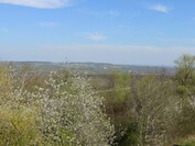 Sony Xperia 1 VI - 2x zoom