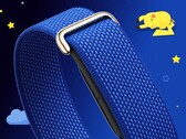 A Fitbit Air Pokémon Sleep Special Edition változatot kap.