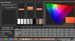 CalMAN: ColorChecker (kalibrált)