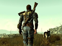 Fallout 3 főszereplője és Dogmeat társa.