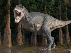 A földi élet egészen másképp alakult volna, ha a dinoszauruszok nem haltak volna ki. (Kép forrása: ROGER HARRIS/SCIENCE PHOTO LIBRARY)