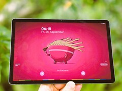 Samsung Galaxy Tab S10 Lite felülvizsgálat. (Kép forrása: Marcus Herbrich)