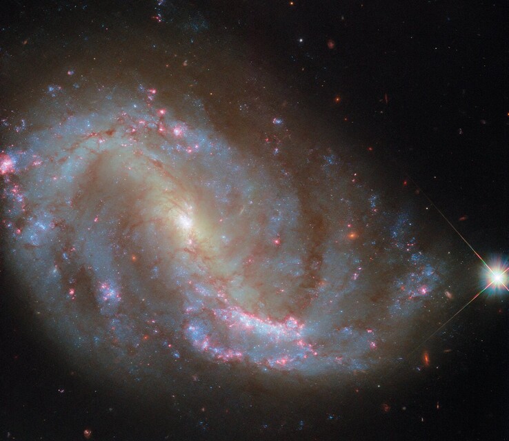 Az NGC 7496 Hubble-felvétele (A kép forrása: ESA/Hubble, NASA, R. Chandar, J. Lee, és a PHANGS-HST csapat)