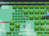 PokeDaisy egy Pokémon-játékkal játszik, további képernyőfedvényekkel