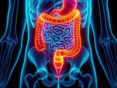 Az enterális lélegeztetést először tesztelték sikeresen embereken. (Kép forrása: David_SMC via Pixabay)