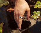 A Samsung az Oura Ring 5-höz egy új alternatívát fejleszt.